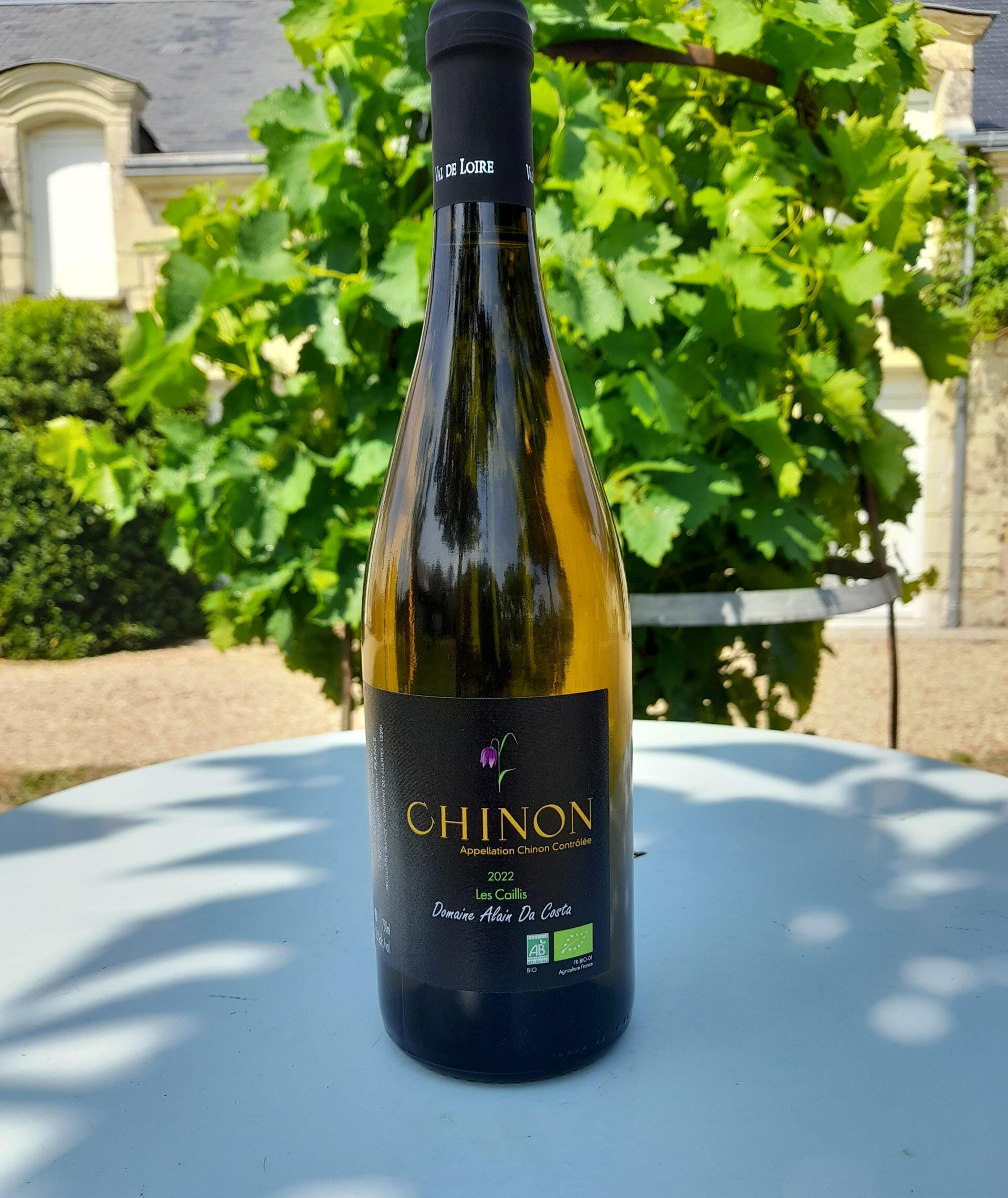 Vin blanc de Chinon Domaine Da Costa