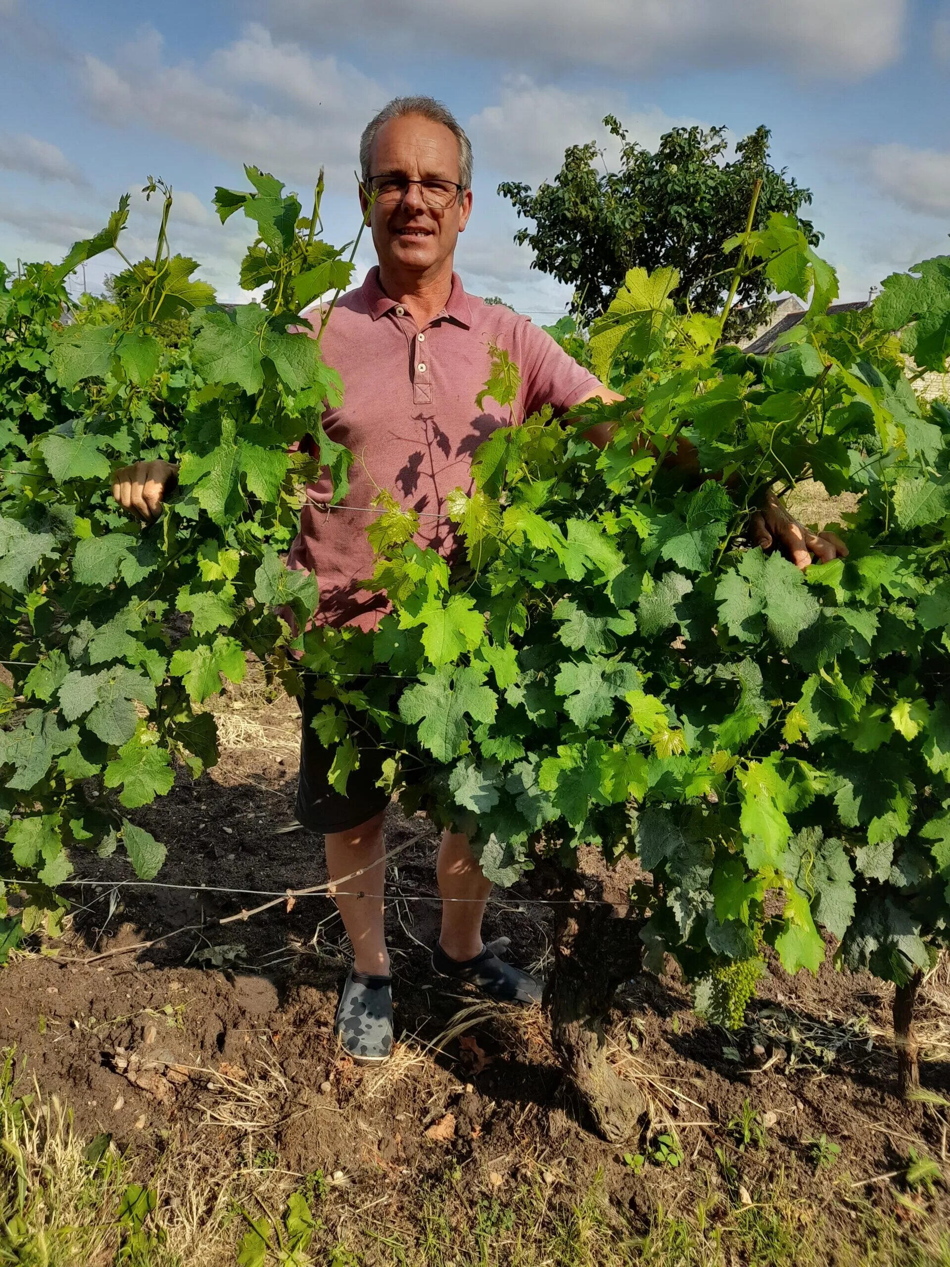 Alain Da Costa