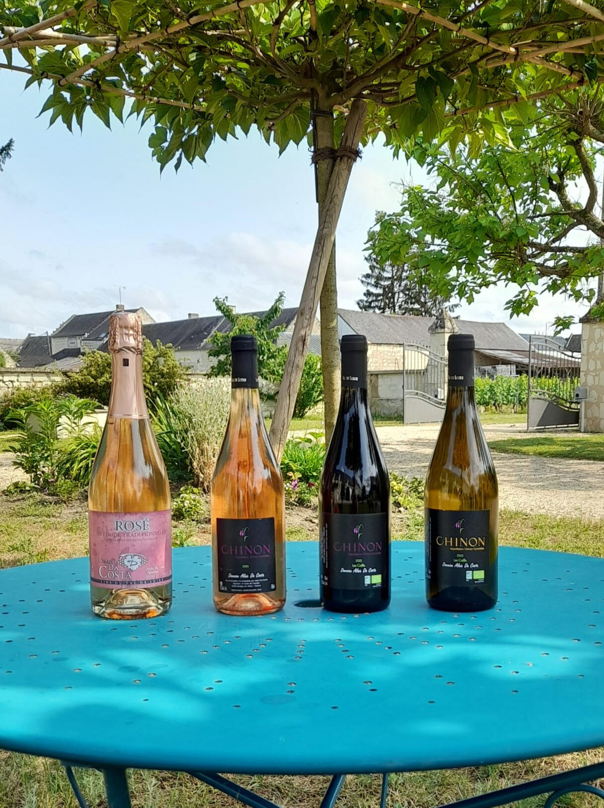 Nos vins